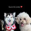 Lovely & Gucci 🐶
