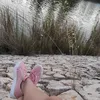 todobuenasvibras
