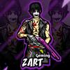 zartgeming_