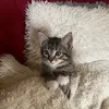 melanie_6655