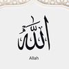 ammay301