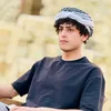 hamza.313a