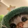 mupiii_1