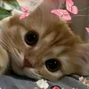 dablrrrrrr