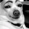 patrici4____