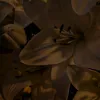 idfk_0067