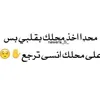 user443979215