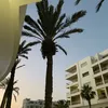 am_44n
