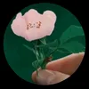 korb050sema