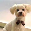 amoranimal16
