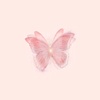 pinkbutterflyblossom