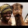 waleed_447