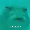 chozahuinya0_0