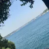 84saed