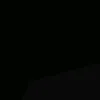 opop_0010