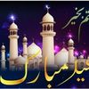 alaaelzayat34