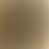 nicholas_chin1753
