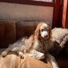 charlie.carre