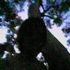nviramove