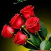 faridarazzak