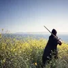 aZpoXz