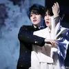 butterfly_zsj