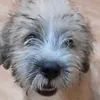 hihiyhy6