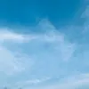 visxx_