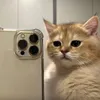 absolutelynoishere