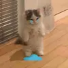 ikori.ae