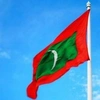 dolphinmaldives3027