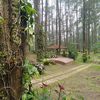 rahayu42443