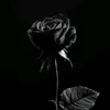 shaimaa_1979