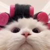 lopiuwya