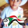 adelkhidirelnaimgmail.co