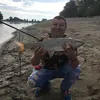 gigifishermangigi