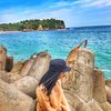 cindy_s_rahmaw