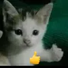 alvaro_edit_de_todo1