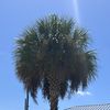 dr_oconee