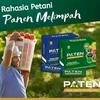 Armita Paten Renner