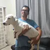 ronaldoasil_