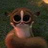 stacey_79166