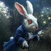 white_rabbit_1976