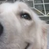 _user_malaia