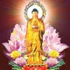 linhlong315