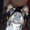 saydieandgus