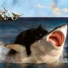 suliman_979