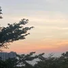 n_pong_n