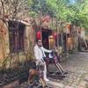 oanhoanh12033