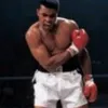 muhammadalifan_77